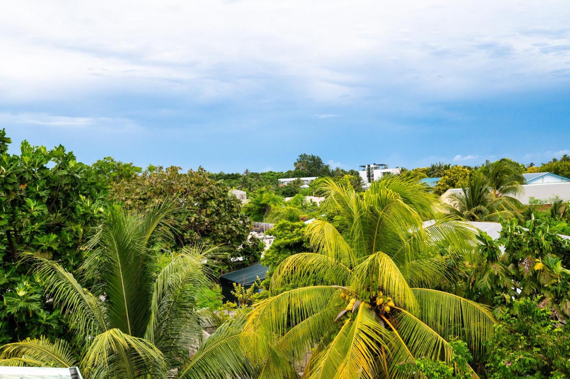 Biosphere Inn Dharavandhoo Exteriör bild